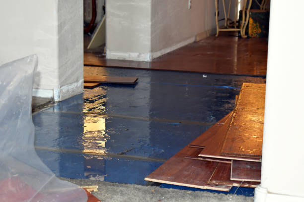 Professional Basement Flood Cleanup technician working in Martins Ferry, OH